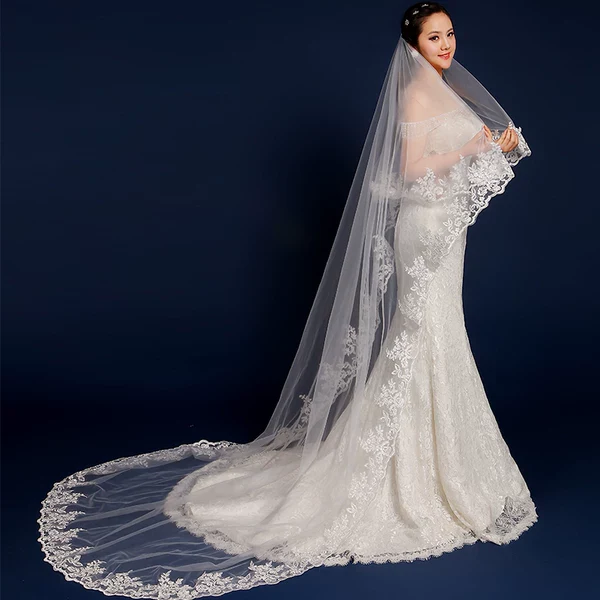 Silhouette Braid Wedding Veil Accessory