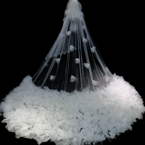 Wedding Bridal Veil Super Long Dragging - Image 3